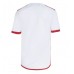 Flamengo Replica Away Shirt 2024-25 Short Sleeve